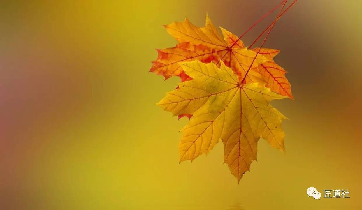 蔣小華：你的品格與修養(yǎng)，為何一看便知？